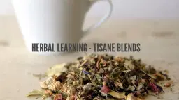 Herbal Learning - Tisane Blends