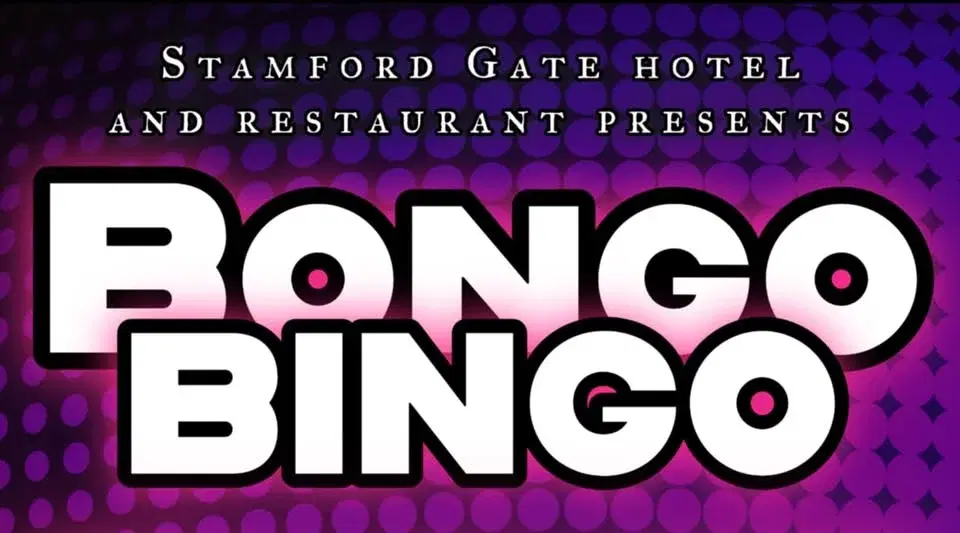 Bongo Bingo