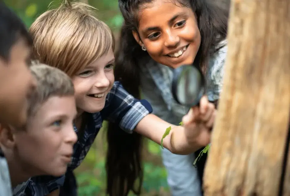 Eco Explorers: Tree-mendous Trees