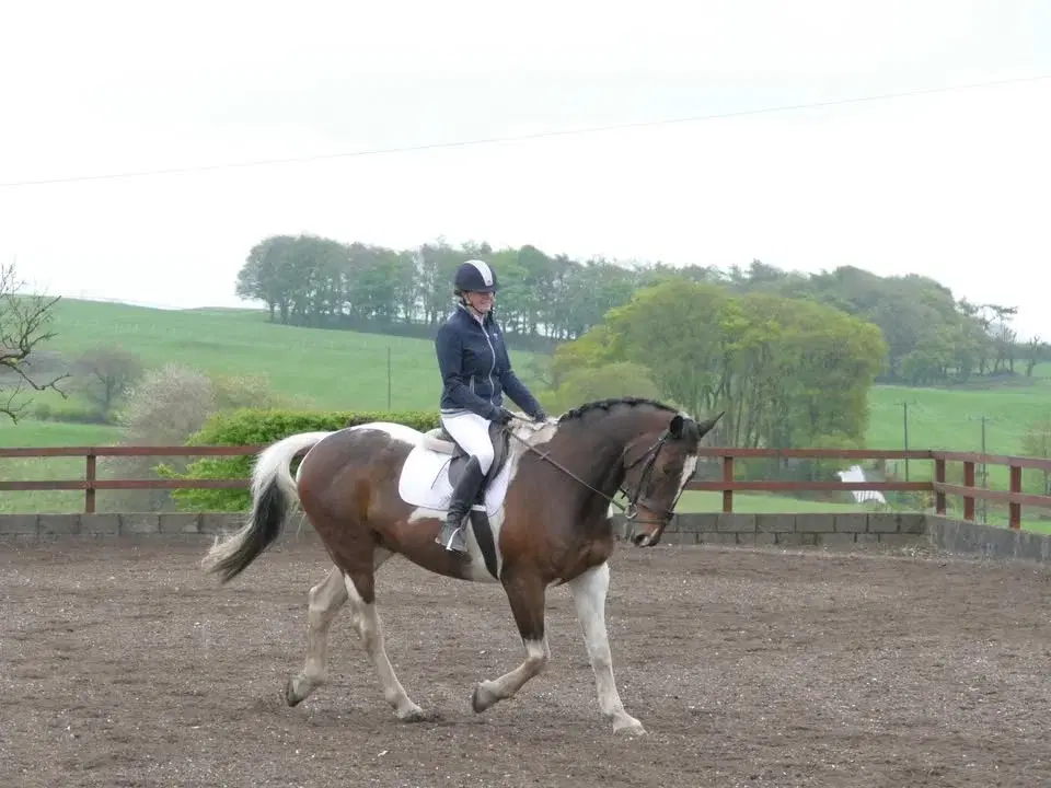 Dressage Series 2 - May 2026