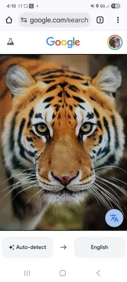 Diman PTO Craft Fair