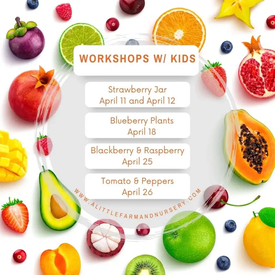 Strawberry Jar- Make and Take Home!