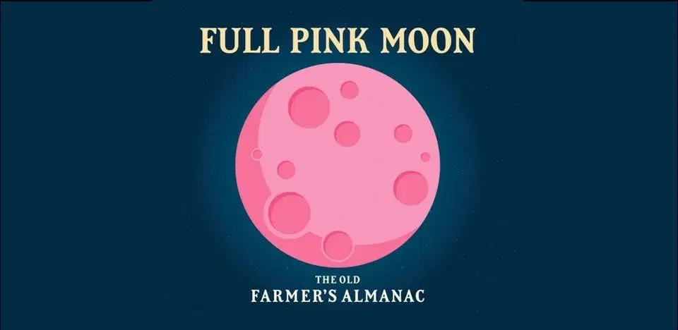 Full Moon - Pink Moon