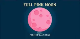 Full Moon - Pink Moon
