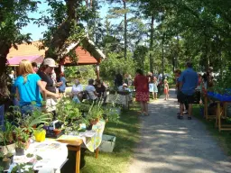 Växtloppis Café Nytorp