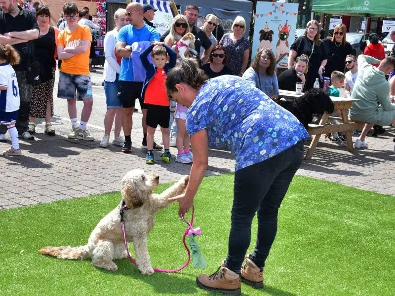 Marshall's Yard 'Barket' Dog Market 16th May