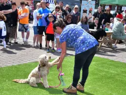 Marshall's Yard 'Barket' Dog Market 16th May