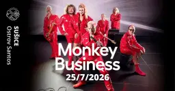 MONKEY BUSINESS / Sušice Ostrov Santos