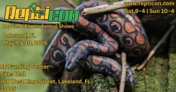 Repticon Lakeland