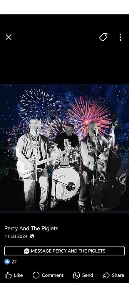 Live Band - Percy & The Piglets