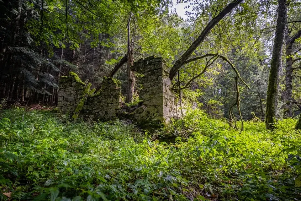 Paměť Českého lesa: Vernisáž výstavy