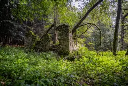 Paměť Českého lesa: Vernisáž výstavy