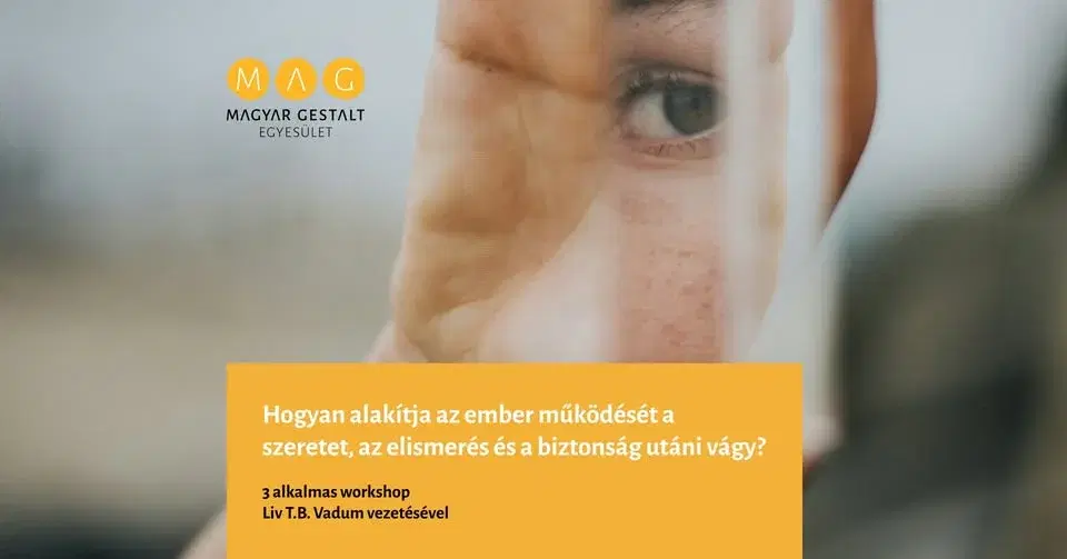 Hogyan alakítja az ember működését a szeretet, az elismerés és a biztonság utáni vágy?