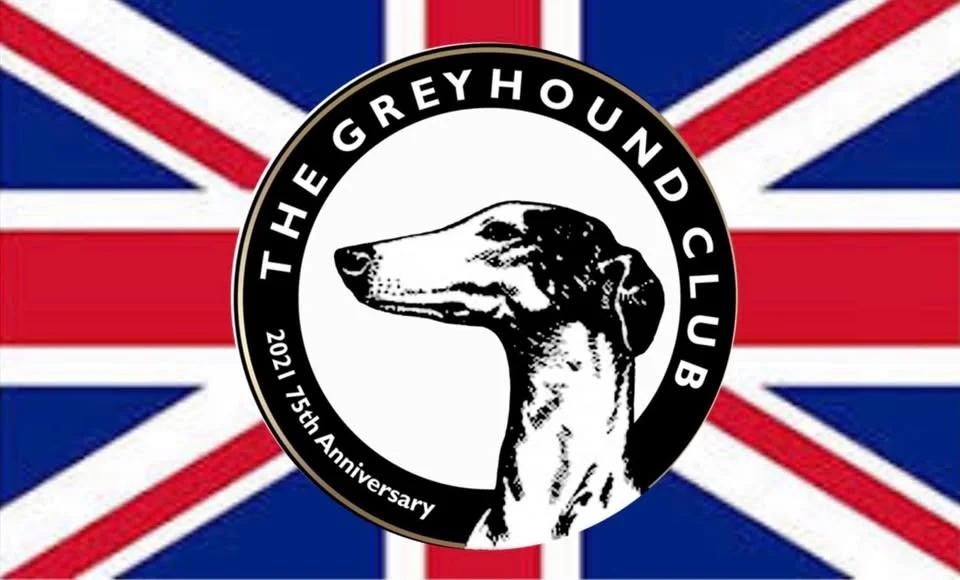 Greyhound Breed Lunch