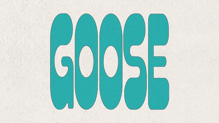 Goose