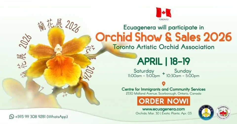 Ecuagenera will participate in "Orchid Show & Sales 2026" Toronto Artistic Orchid Association