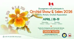 Ecuagenera will participate in "Orchid Show & Sales 2026" Toronto Artistic Orchid Association