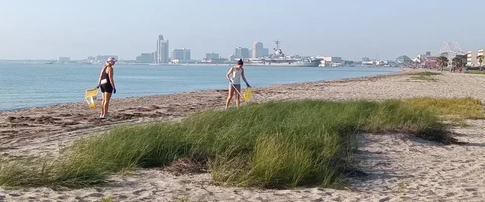 Earth Day North Beach Cleanup