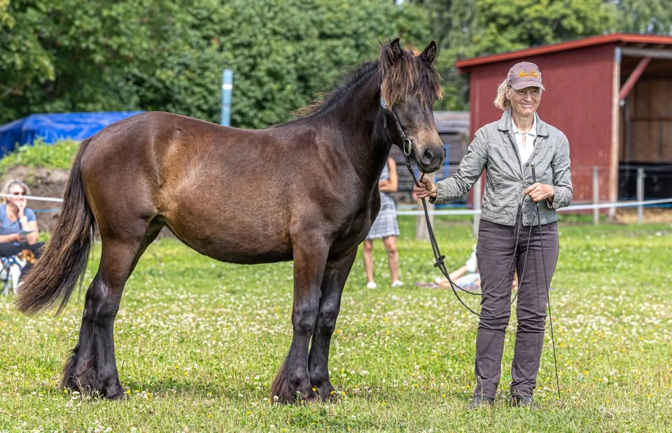 Premiering Lotteräng, Vallentuna