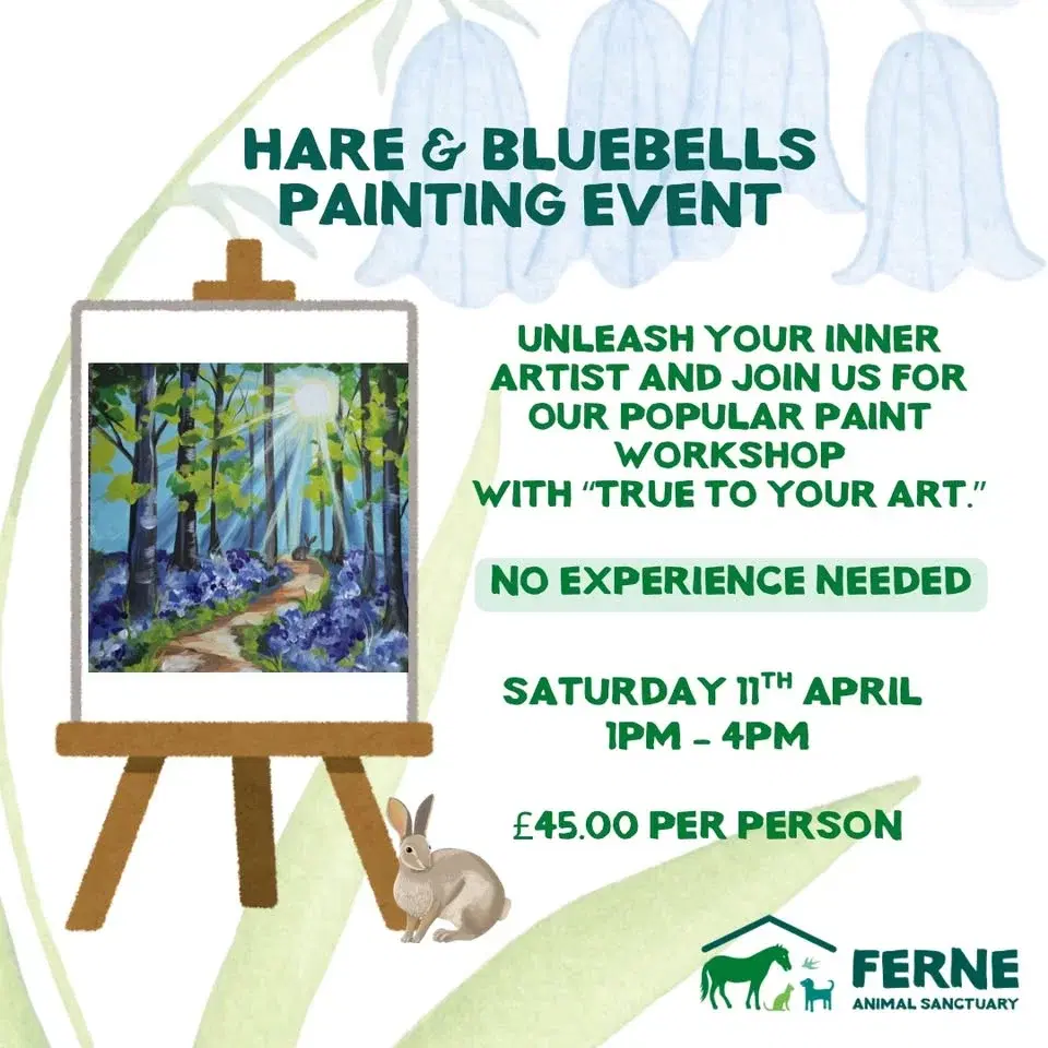 Hare & bluebells painting event