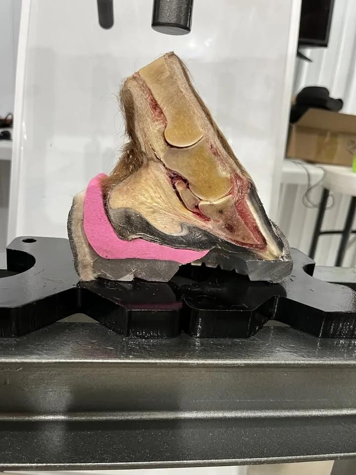 Advanced Glue On Skills Course