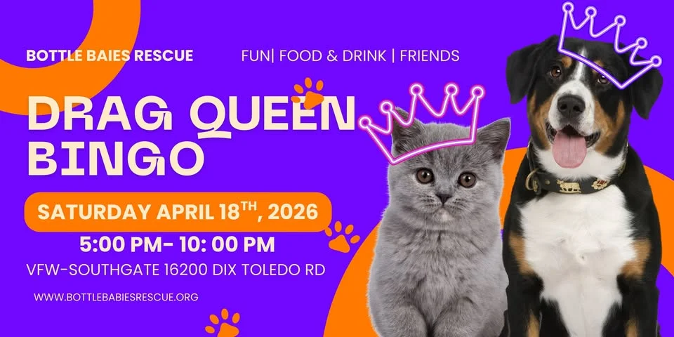 BBR Presents The Real Drag Queens of Bingo!