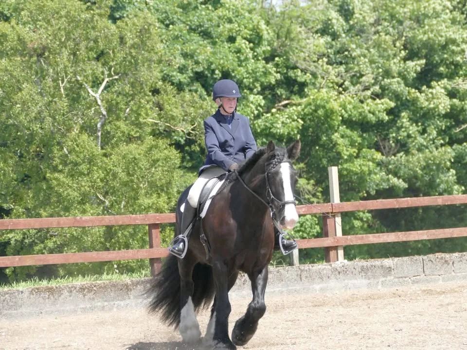 Dressage Series 3 - June 2026