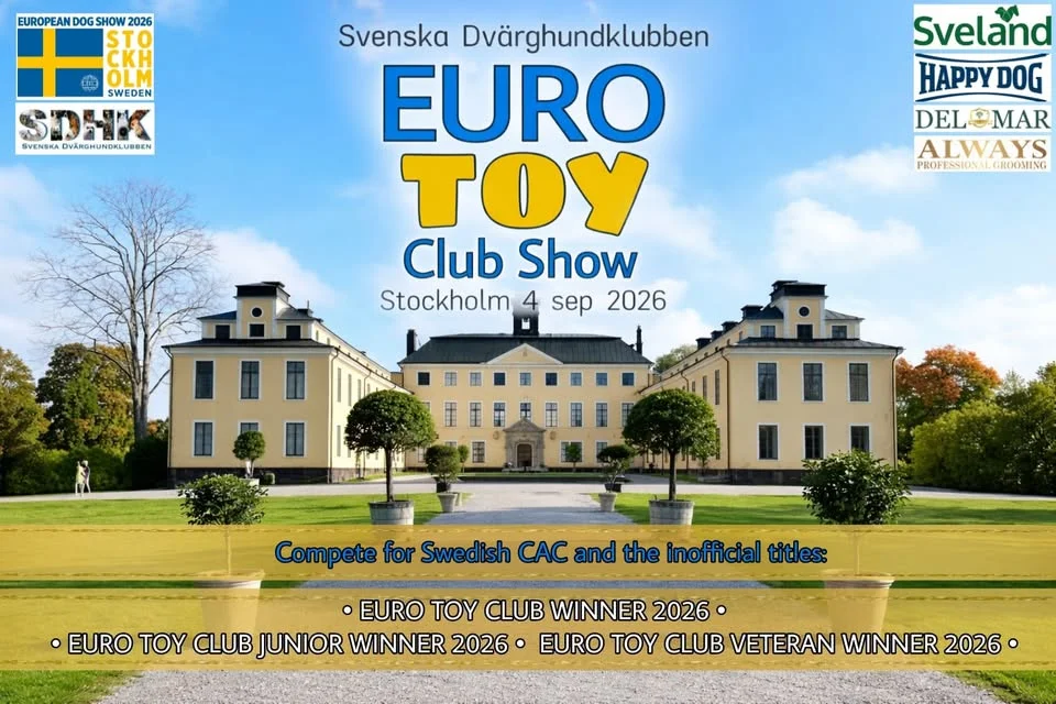 SDHK EURO TOY Club Show 2026