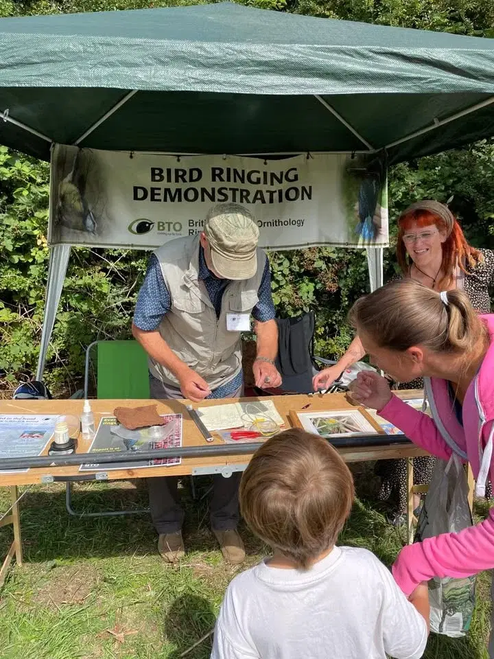 Wildlife Activity Day