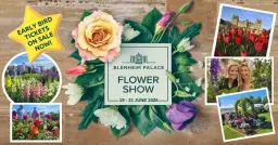 Blenheim Palace Flower Show 2026