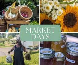 Market Days at Gracious Farm