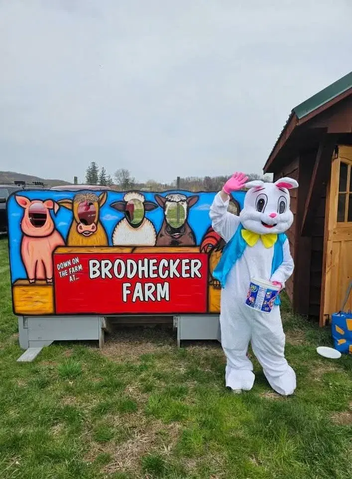 Our Annual Egg Hunt on the farm