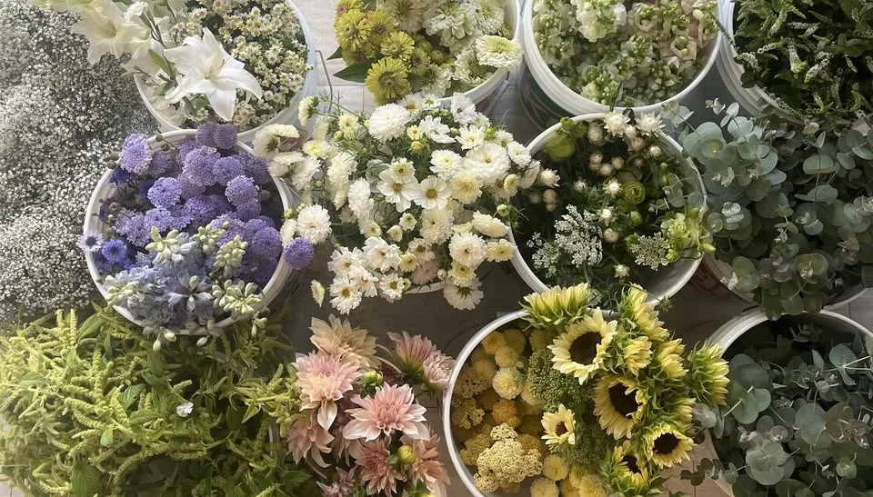 4th Annual Plant Sale