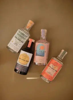 Ginprovning & god mat