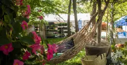 Österlen garden show 16-17 maj 2026