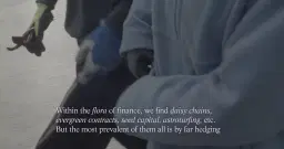 Breaking the Course of the European Boomerang: Screening curated by Una Gjerde and Krisztián Török