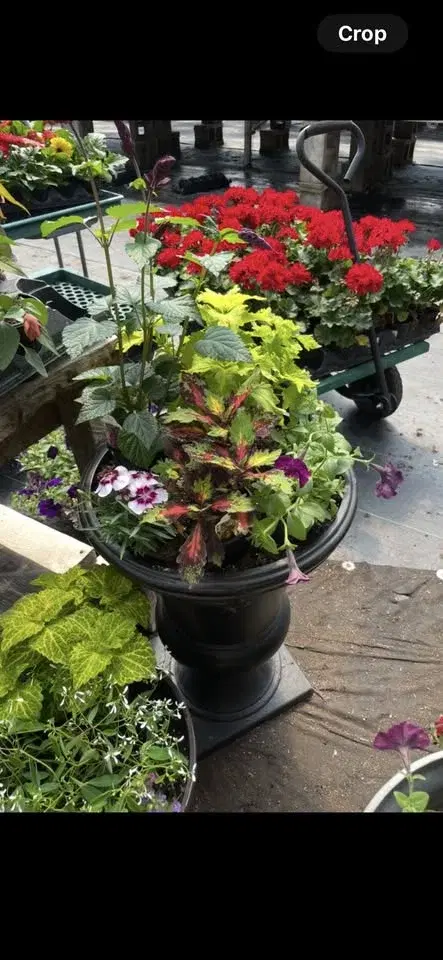 Spring Planter