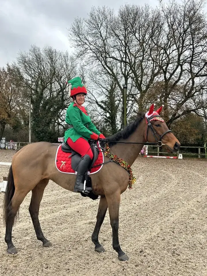 CHRISTMAS đ
Stressless Dressage
