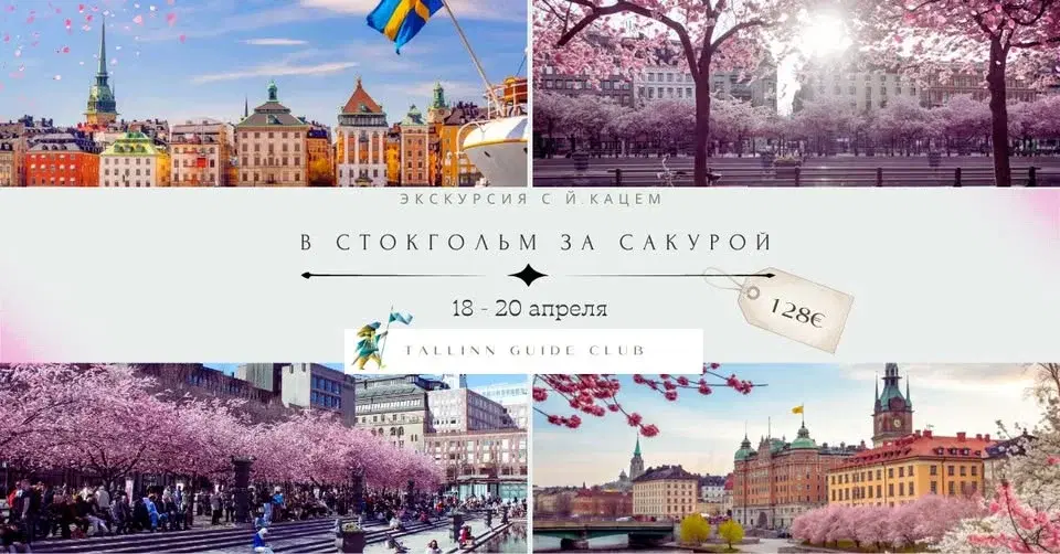 В Стокгольм за сакурой с Йосефом Кацем