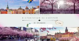 В Стокгольм за сакурой с Йосефом Кацем