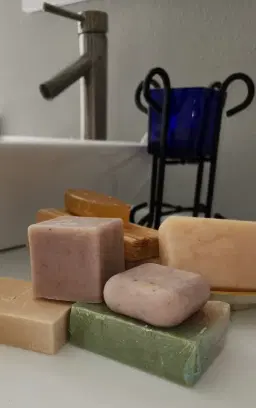 Palm Harbor Fest March 28 & 29