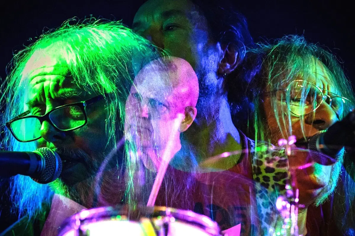 THE BEVIS FROND | LOGO Hamburg