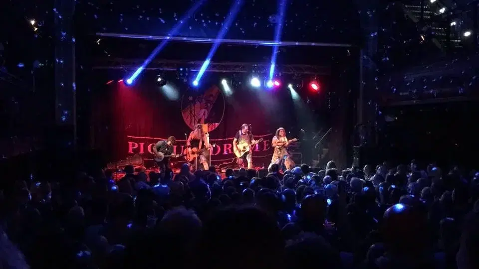HAYSEED DIXIE