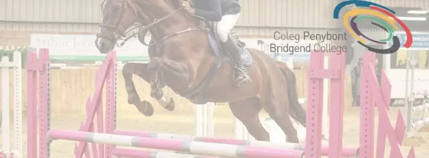 Unaffiliated Showjumping Championships