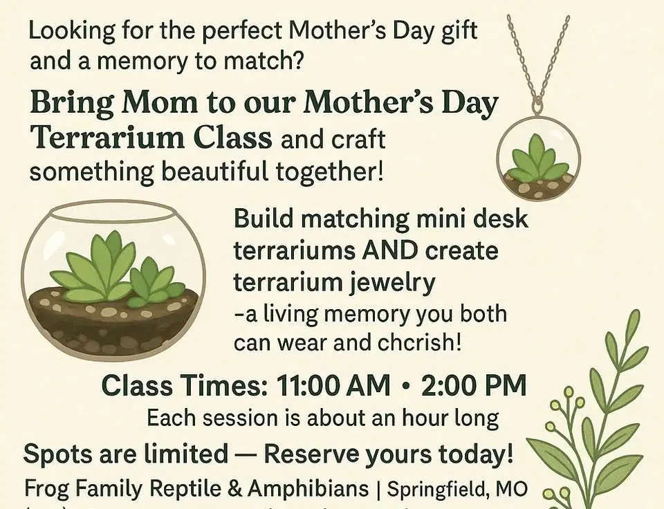 đMother's Day terrarium building class!