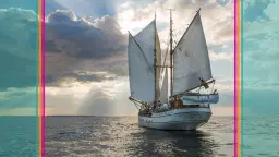 Seniorsegling juni 2026