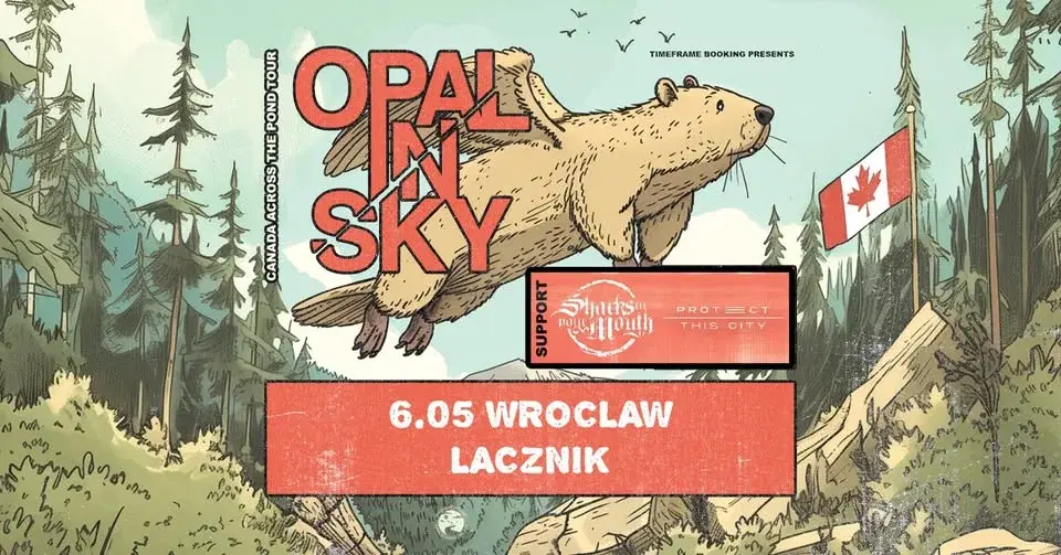 Opal In Sky (CA) + Sharks In Your Mouth (IT) + Protect This City + Netherless / 6.05 Wrocław