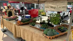 Downtown Ludington Farmers Market