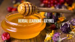 Herbal Learning - Oxymel