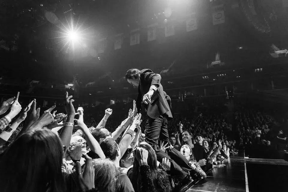 NICK CAVE & THE BAD SEEDS - Dresden, Filmnächte am Elbufer